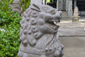 Lion pair