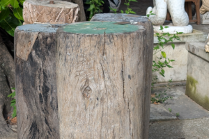 Carved Wooden Column