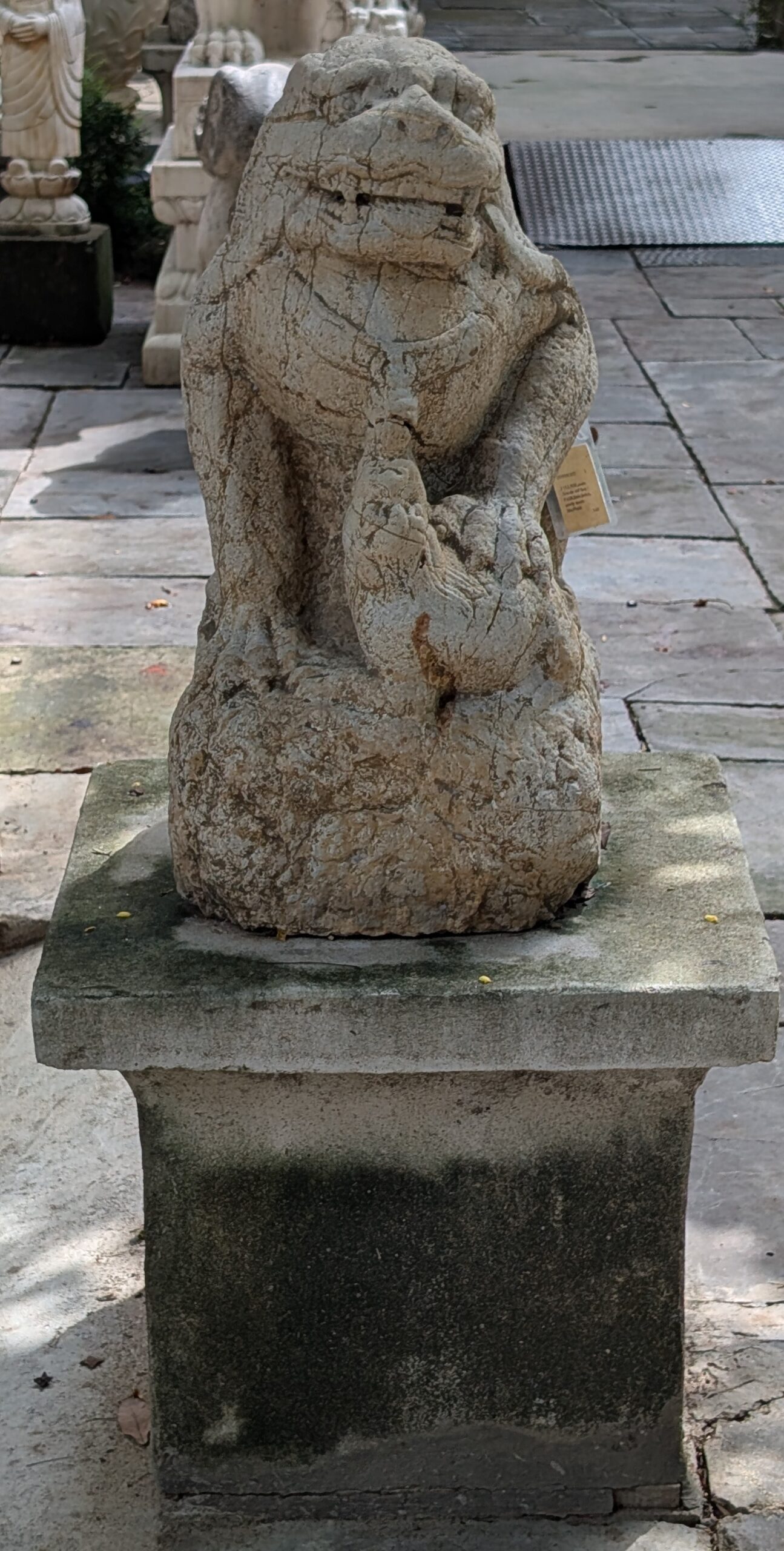 Old lion pair - Image 2