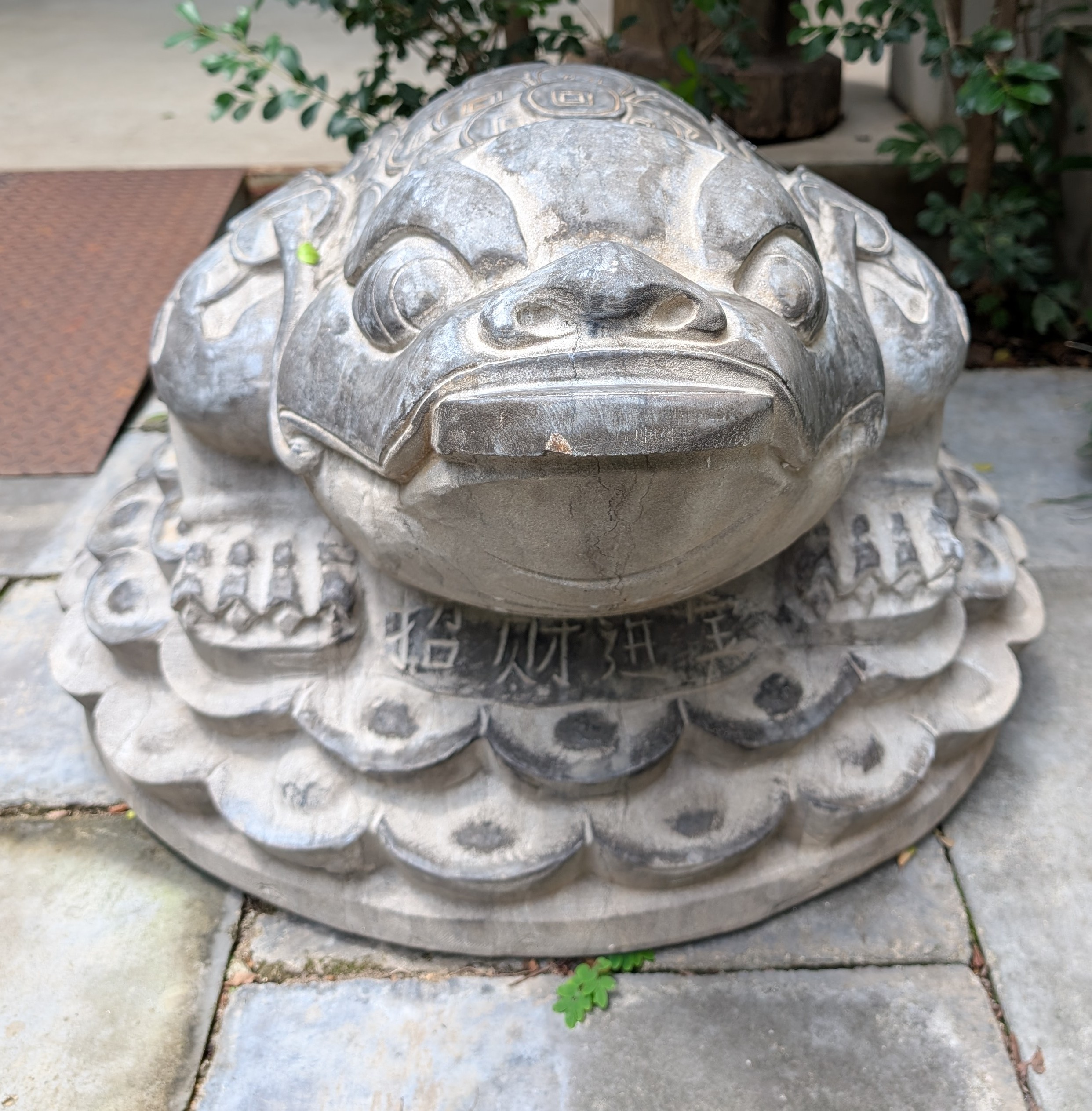 Money Toad Pair - Image 2