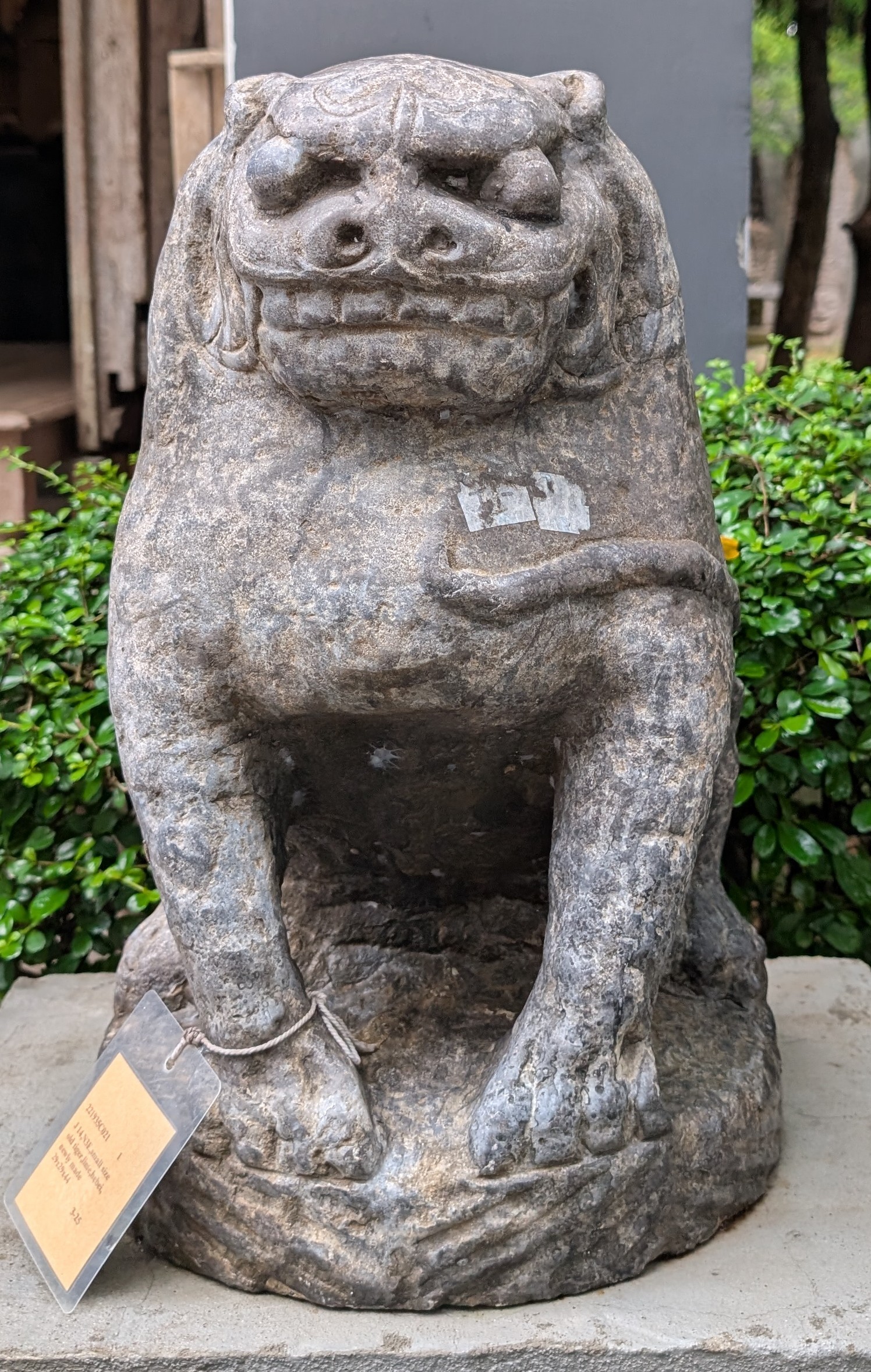 Compact Stone Tiger - Image 2